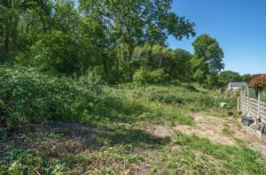 Woods to the rear of the house- click for photo gallery